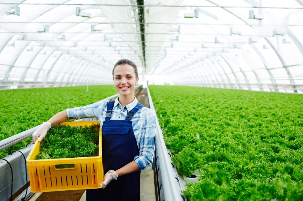 Agribusiness
